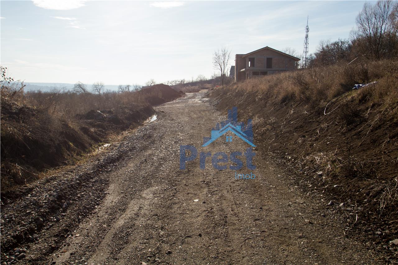 mures de pamant cuplu cauta barbat bela palanka