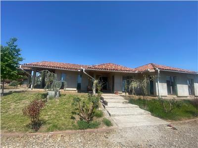 Casa de 300mp + teren 5800mp de vanzare in Cristesti, langa E60