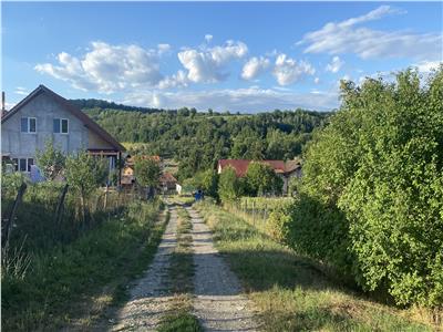 Teren intravilan in Bardesti,