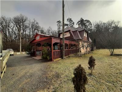 De vanzare Motel Restaurant, Reghin