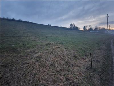 De vanzare teren 1,2 Ha in Laureni