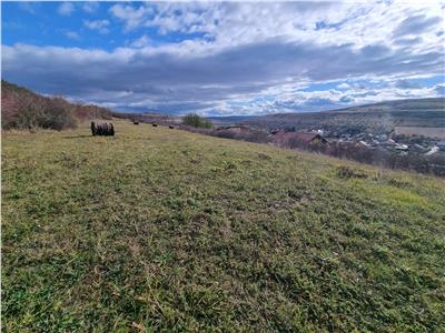 De vanzare 6365 mp teren intravilan Bardesti