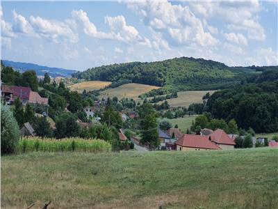 Teren si padure in Remetea - Tg. Mures